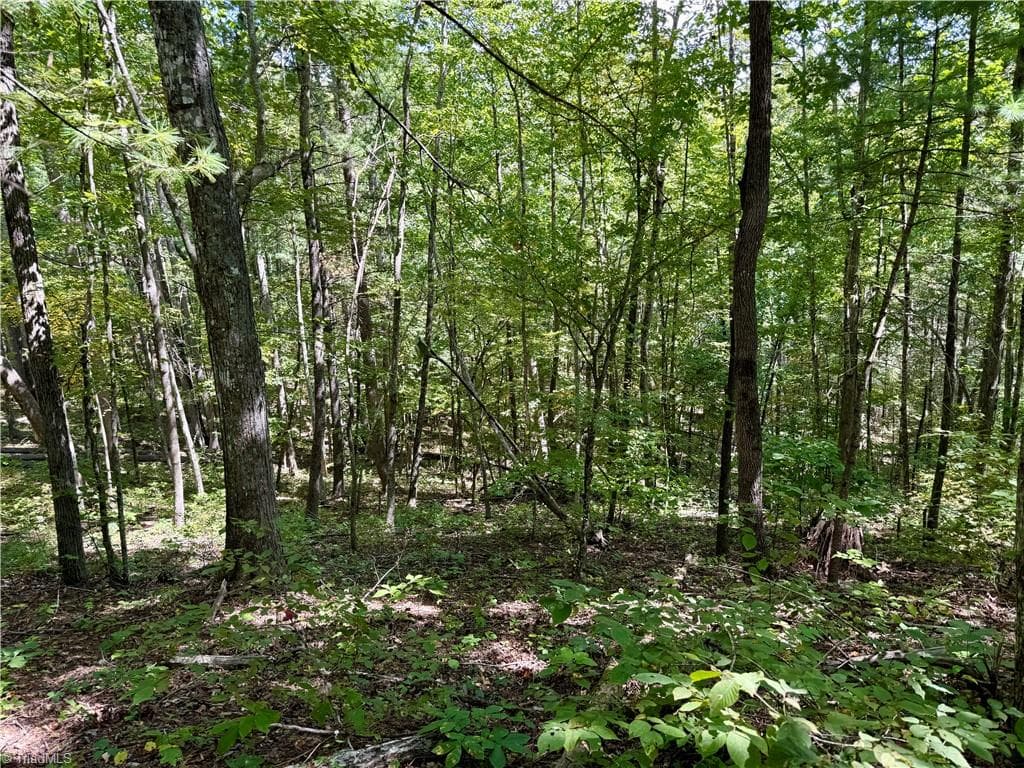 Unimproved Land at 240 olde Stone Drive, Crumpler NC 28617, photo 9 of 43