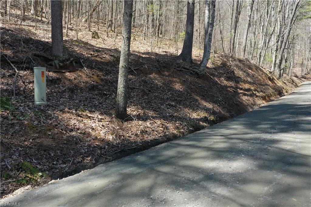 Unimproved Land at 240 olde Stone Drive, Crumpler NC 28617, photo 24 of 43