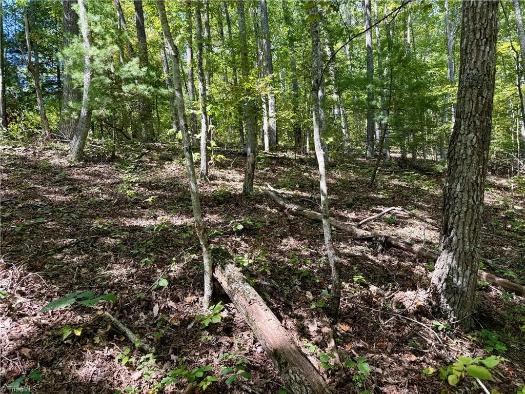 Unimproved Land at 240 olde Stone Drive, Crumpler NC 28617, photo 34 of 43