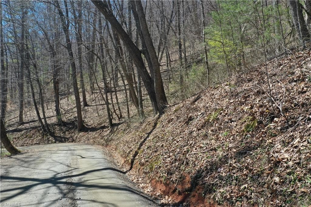 Unimproved Land at 240 olde Stone Drive, Crumpler NC 28617, photo 10 of 43