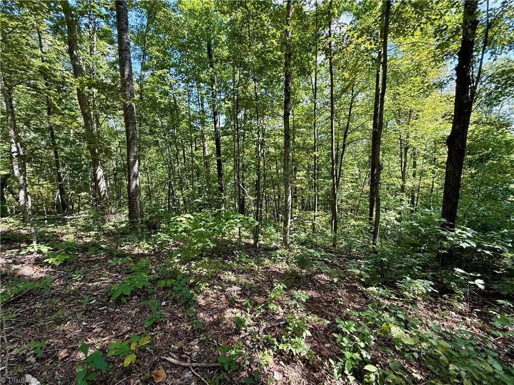 Unimproved Land at 240 olde Stone Drive, Crumpler NC 28617, photo 33 of 43