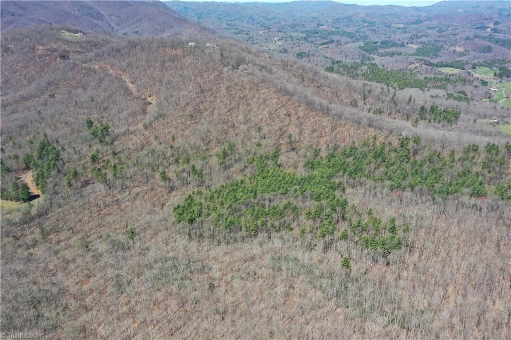 Unimproved Land at 240 olde Stone Drive, Crumpler NC 28617, photo 14 of 43