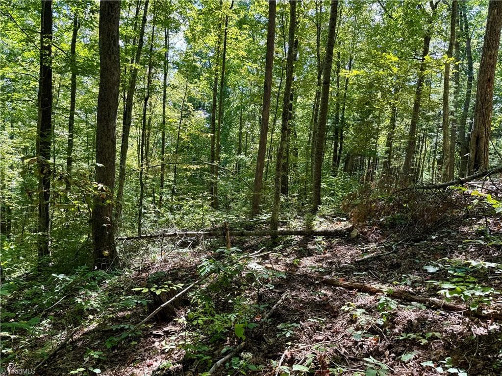 Unimproved Land at 240 olde Stone Drive, Crumpler NC 28617, photo 41 of 43