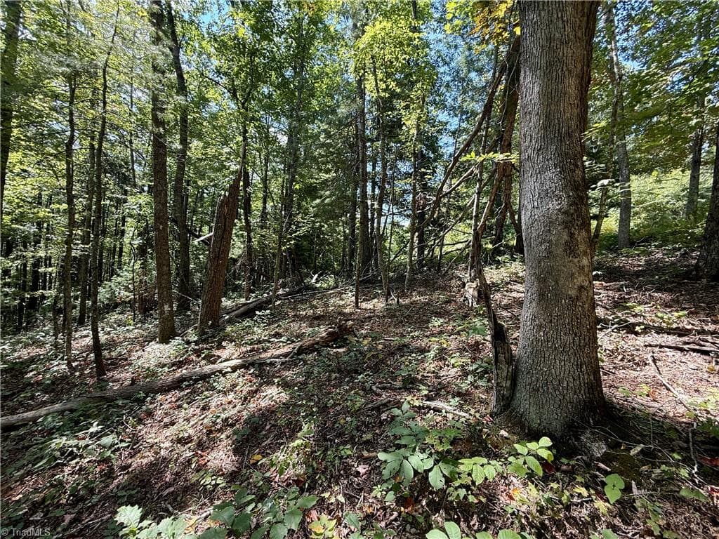 Unimproved Land at 240 olde Stone Drive, Crumpler NC 28617, photo 37 of 43