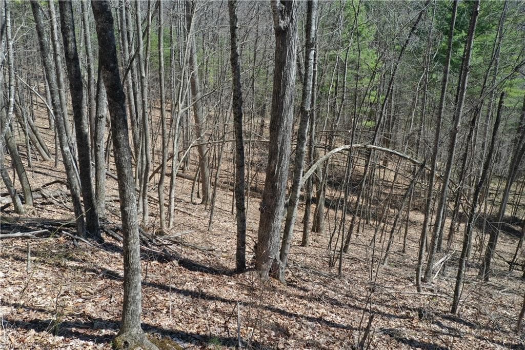 Unimproved Land at 240 olde Stone Drive, Crumpler NC 28617, photo 15 of 43