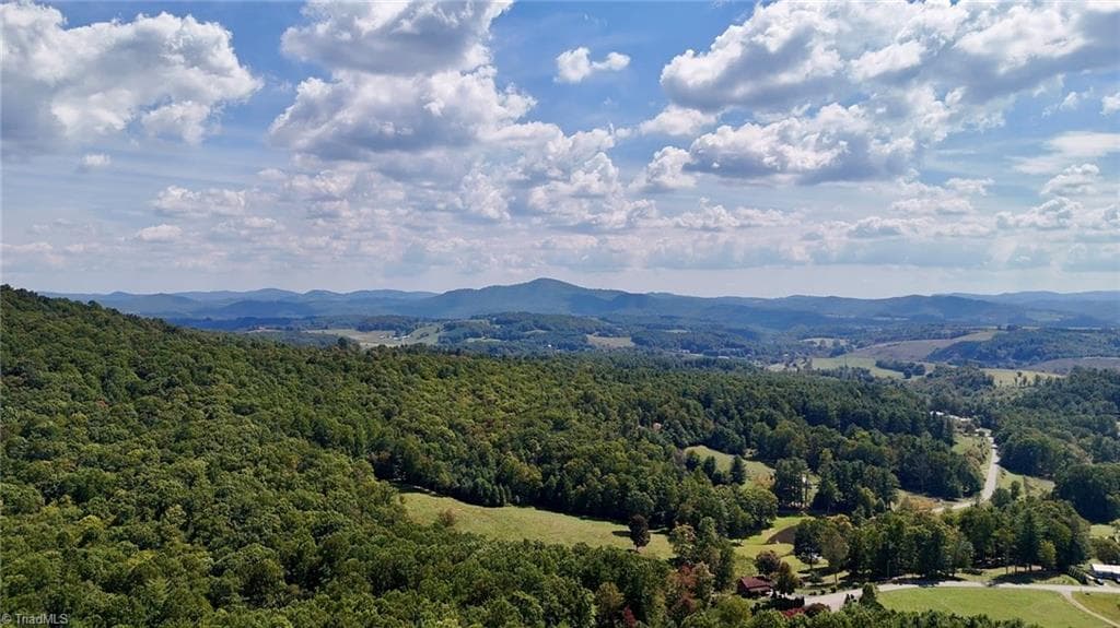 Unimproved Land at 240 olde Stone Drive, Crumpler NC 28617, photo 11 of 43