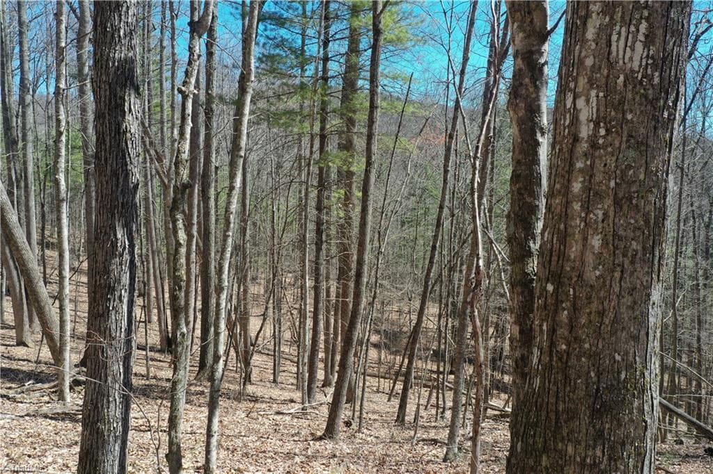 Unimproved Land at 240 olde Stone Drive, Crumpler NC 28617, photo 19 of 43