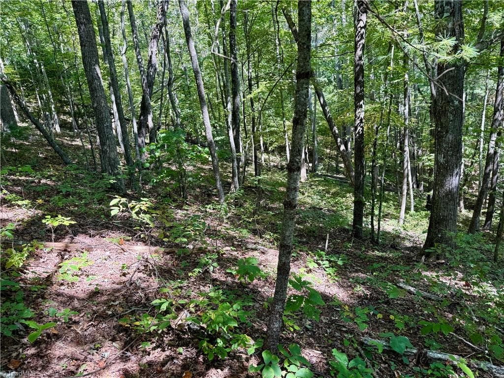 Unimproved Land at 240 olde Stone Drive, Crumpler NC 28617, photo 40 of 43