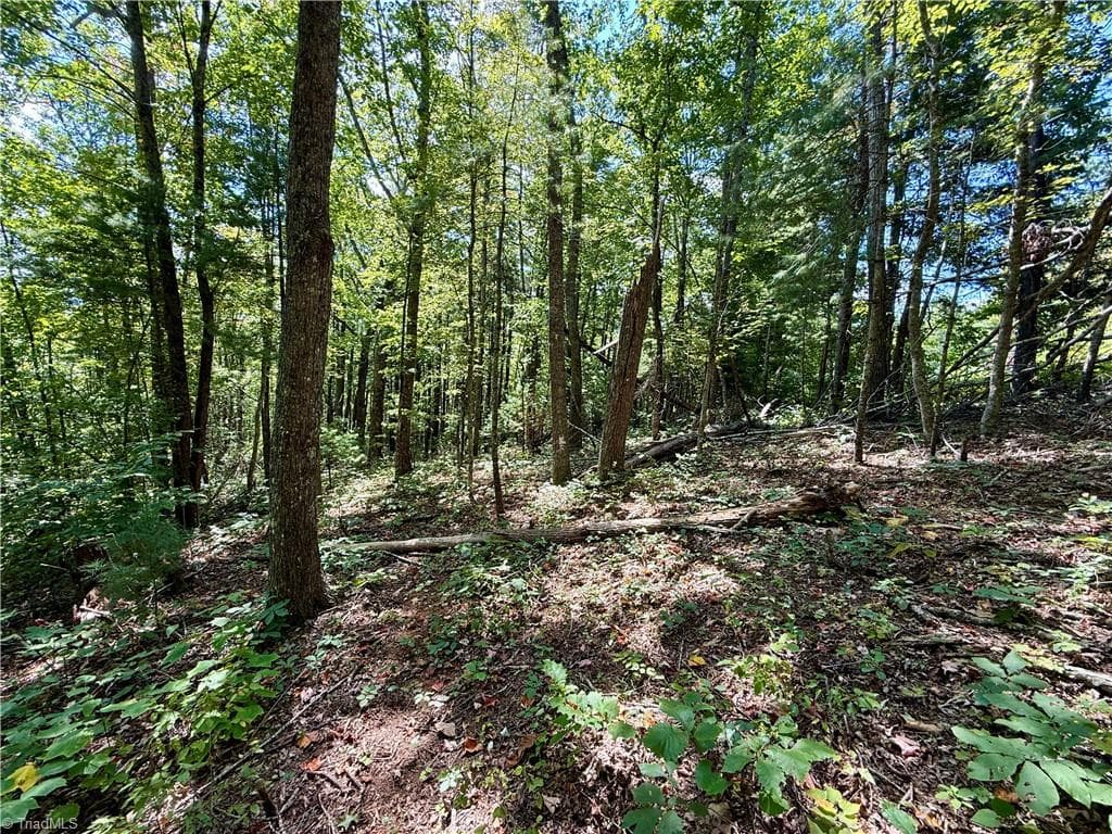 Unimproved Land at 240 olde Stone Drive, Crumpler NC 28617, photo 31 of 43