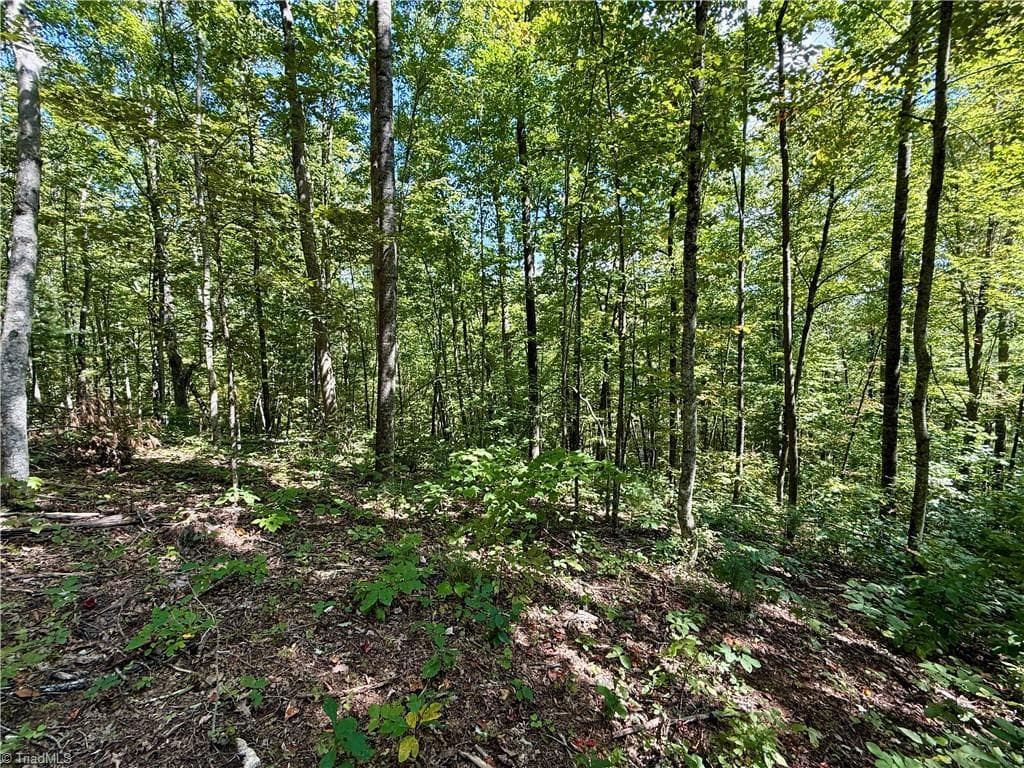 Unimproved Land at 240 olde Stone Drive, Crumpler NC 28617, photo 39 of 43