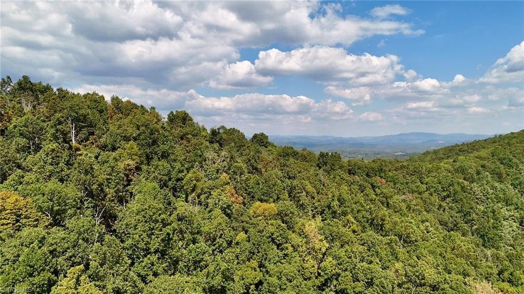 Unimproved Land at 240 olde Stone Drive, Crumpler NC 28617, photo 29 of 43