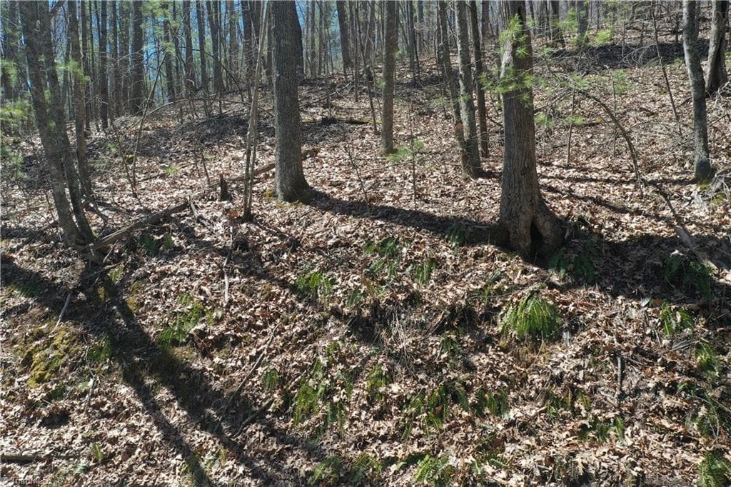 Unimproved Land at 240 olde Stone Drive, Crumpler NC 28617, photo 25 of 43