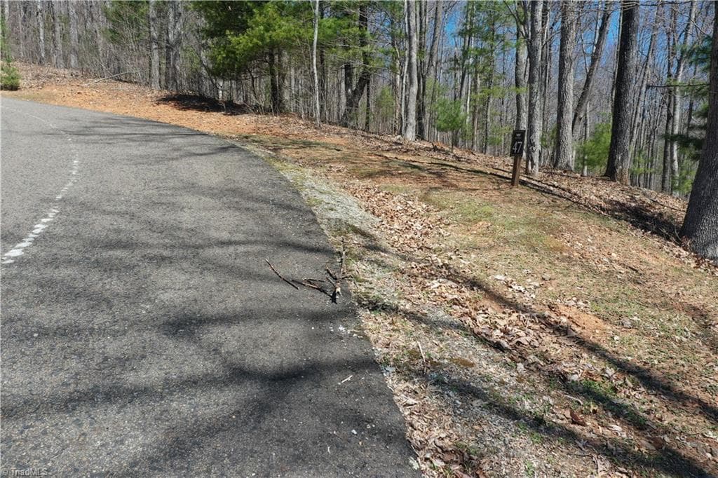 Unimproved Land at 240 olde Stone Drive, Crumpler NC 28617, photo 21 of 43