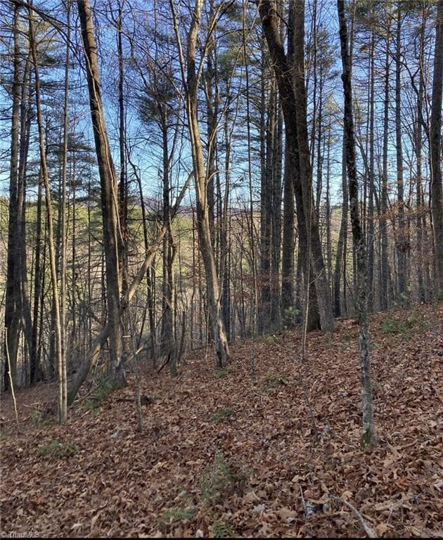 TBD Lots 1 & 2 Toe River Lane, Newland NC 28657