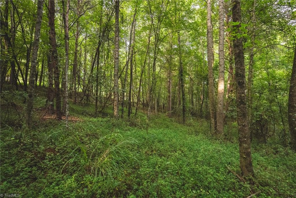 Unimproved Land at TBD Johnson Ridge Road, Elkin NC 28621, photo 13 of 18