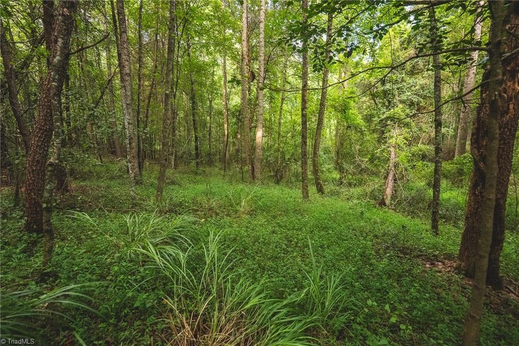 Unimproved Land at TBD Johnson Ridge Road, Elkin NC 28621, photo 5 of 18