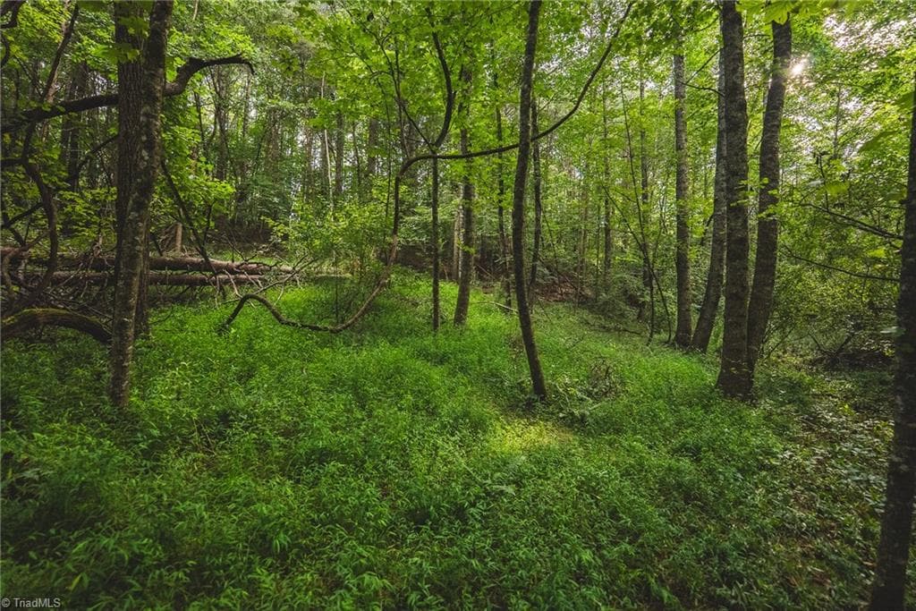 Unimproved Land at TBD Johnson Ridge Road, Elkin NC 28621, photo 15 of 18