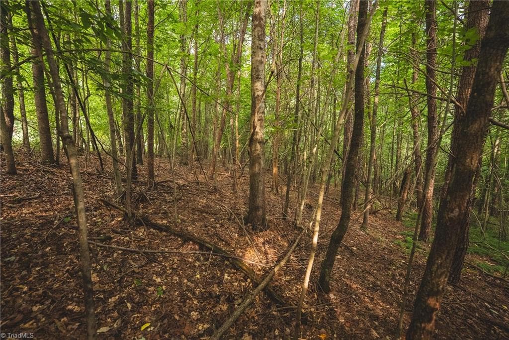 Unimproved Land at TBD Johnson Ridge Road, Elkin NC 28621, photo 4 of 18
