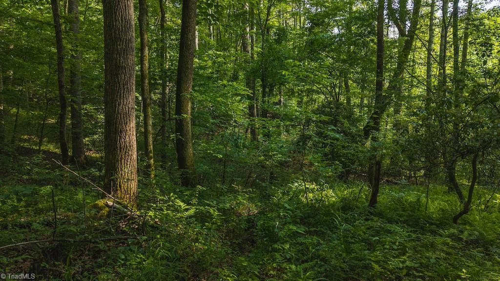 Single Family Residence at TBD Brushy Mountain Road, Moravian Falls NC 28654, photo 23 of 26