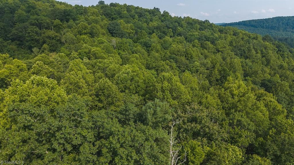 Single Family Residence at TBD Brushy Mountain Road, Moravian Falls NC 28654, photo 16 of 26