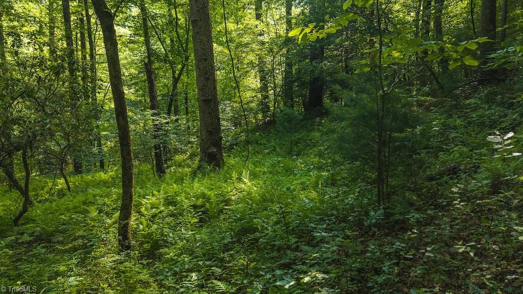 Single Family Residence at TBD Brushy Mountain Road, Moravian Falls NC 28654, photo 14 of 26