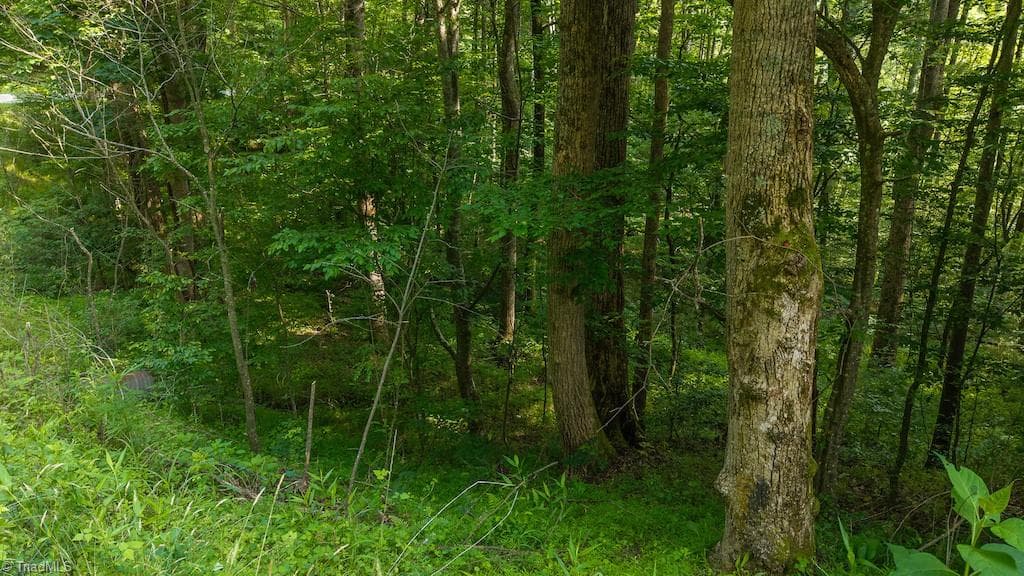 Single Family Residence at TBD Brushy Mountain Road, Moravian Falls NC 28654, photo 18 of 26