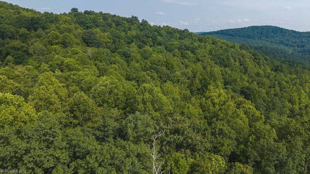 Single Family Residence at TBD Brushy Mountain Road, Moravian Falls NC 28654, photo 11 of 26