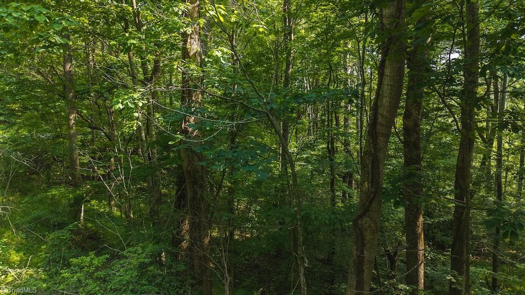 Single Family Residence at TBD Brushy Mountain Road, Moravian Falls NC 28654, photo 19 of 26