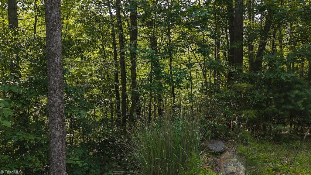Single Family Residence at TBD Brushy Mountain Road, Moravian Falls NC 28654, photo 8 of 26