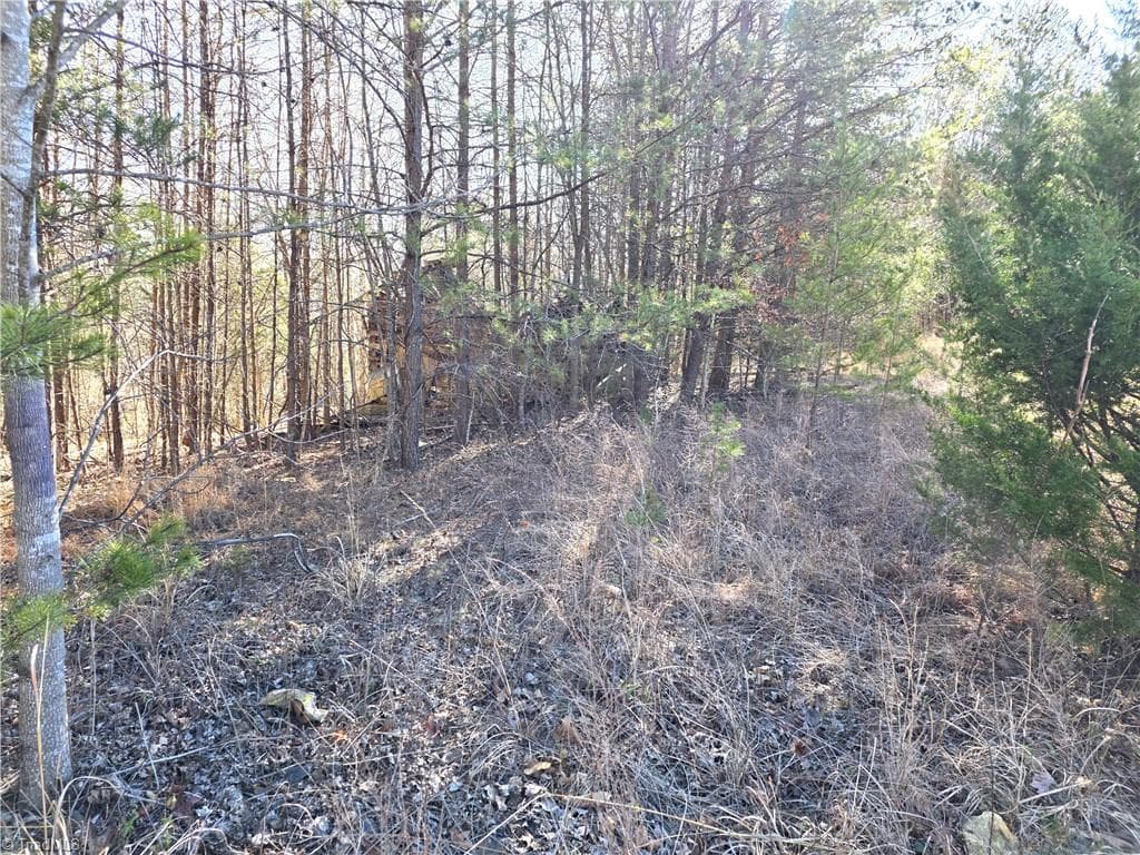 Single Family Residence at xx- 19 acres+- NC Highway 268, Pinnacle NC 27043, photo 6 of 7