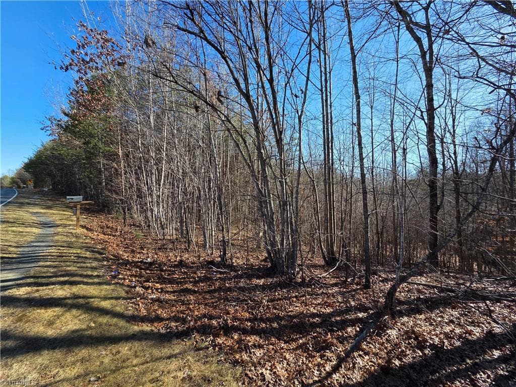 Single Family Residence at xx- 19 acres+- NC Highway 268, Pinnacle NC 27043, photo 7 of 7