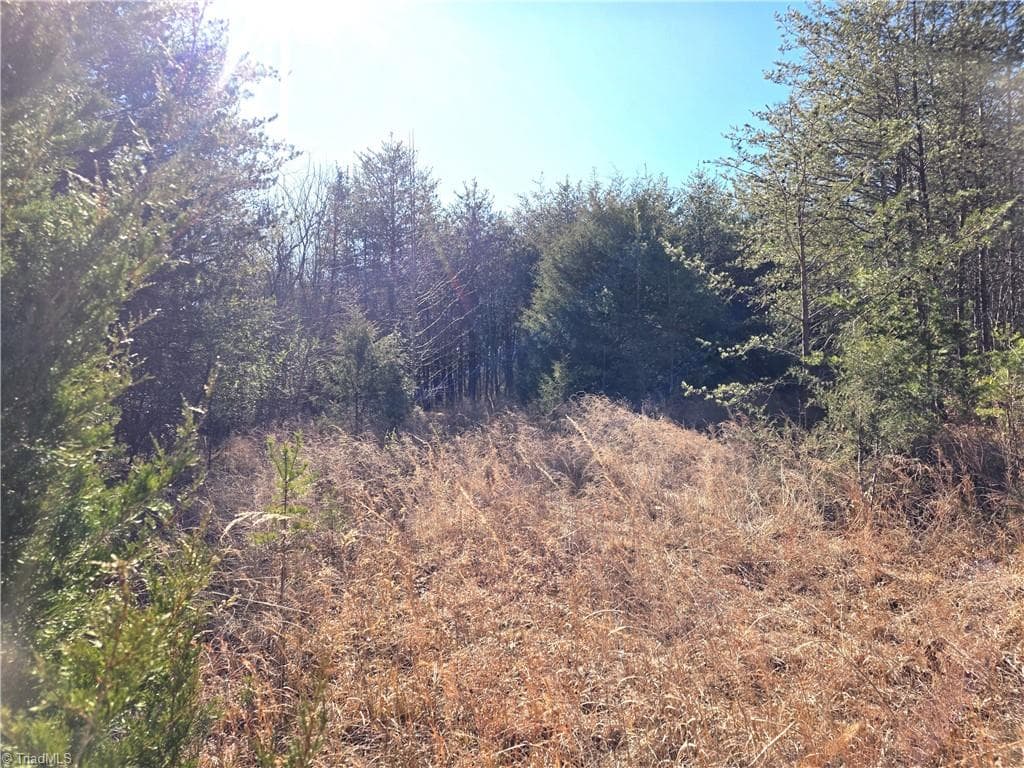 xx- 19 acres+- NC Highway 268, Pinnacle NC 27043