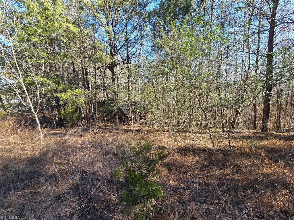 Single Family Residence at xx- 19 acres+- NC Highway 268, Pinnacle NC 27043, photo 5 of 7