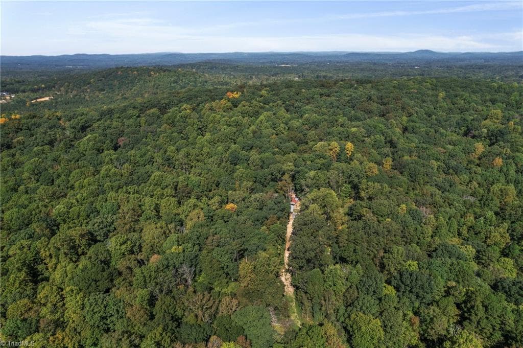 Unimproved Land at 2272 Doul Mountain Road, Asheboro NC 27205, photo 4 of 27