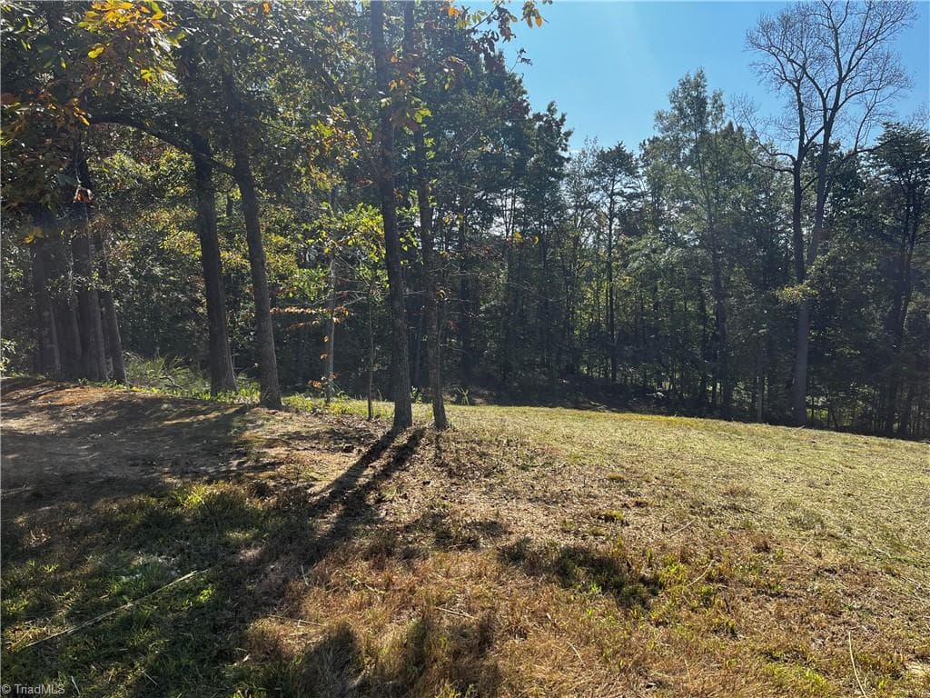 Single Family Residence at 803 Birch Bark Lane, Greensboro NC 27455, Greensboro, photo 11 of 12