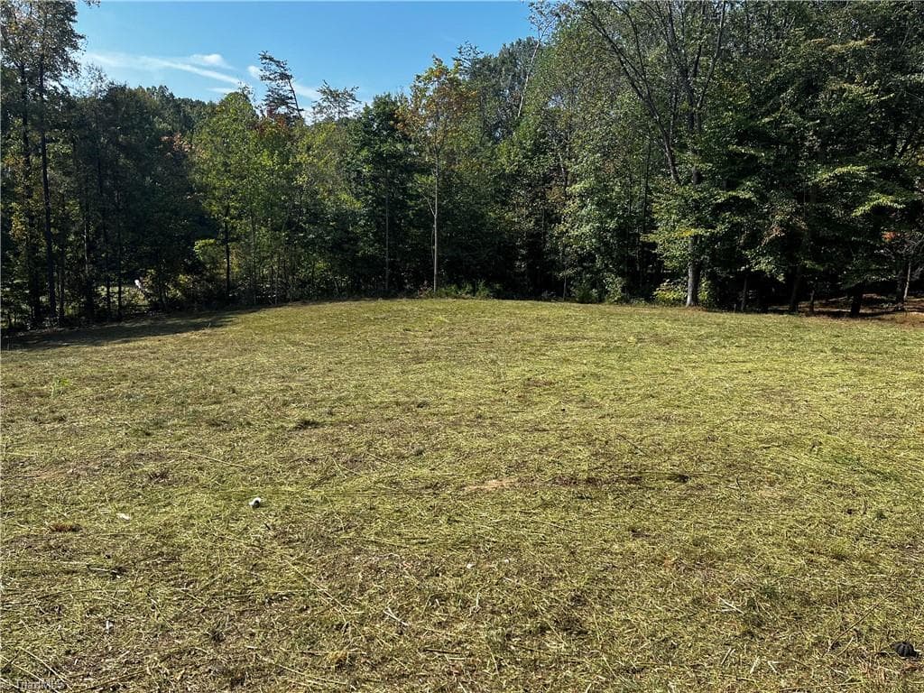 Single Family Residence at 803 Birch Bark Lane, Greensboro NC 27455, Greensboro, photo 9 of 12