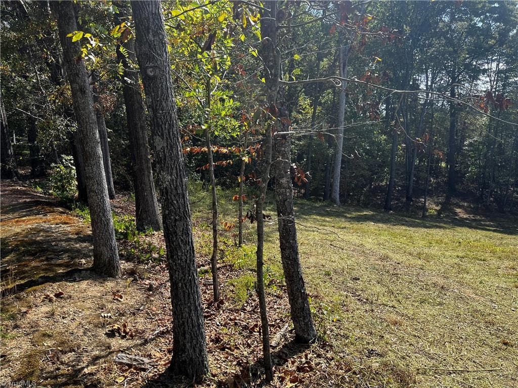Single Family Residence at 803 Birch Bark Lane, Greensboro NC 27455, Greensboro, photo 7 of 12