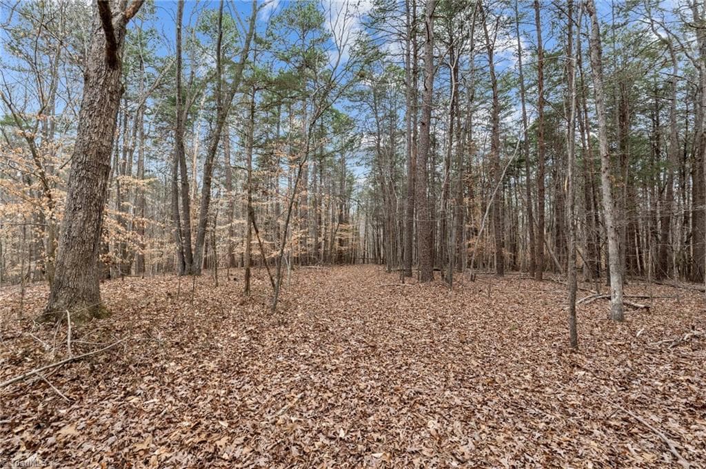 Unimproved Land at 8729 B Allison Road, Cedar Grove NC 27231, photo 13 of 13