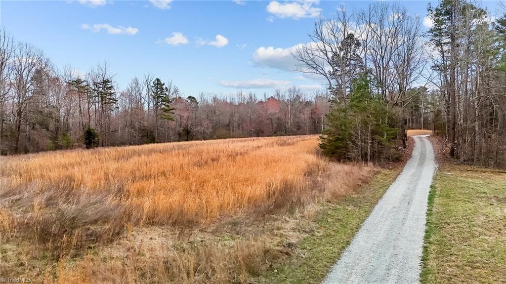 Unimproved Land at 8729 B Allison Road, Cedar Grove NC 27231, photo 7 of 13