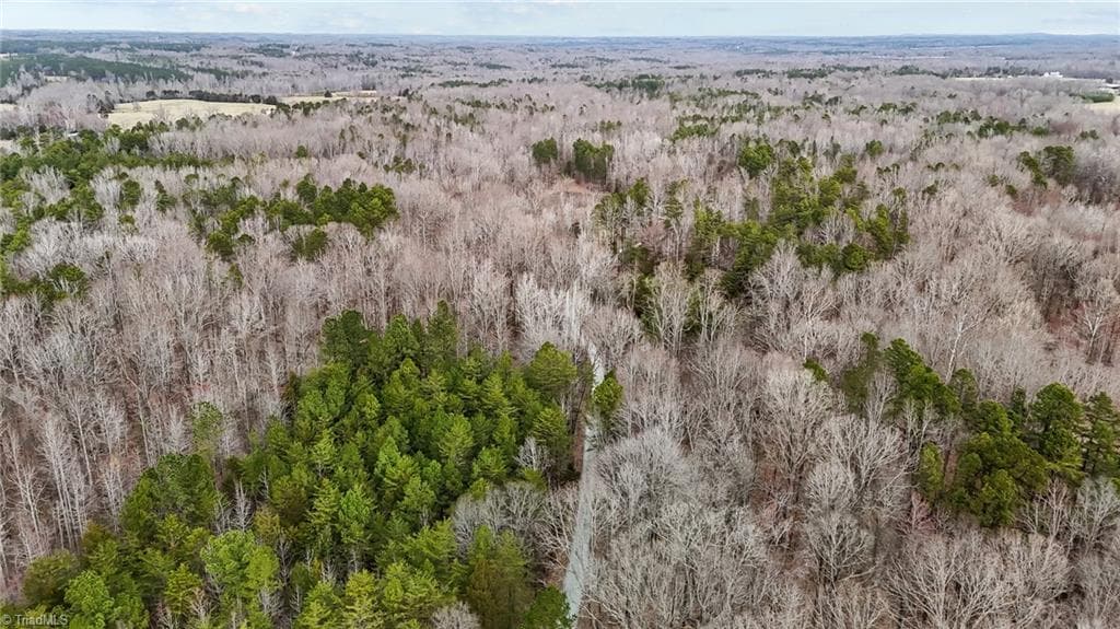 Unimproved Land at 8729 B Allison Road, Cedar Grove NC 27231, photo 9 of 13