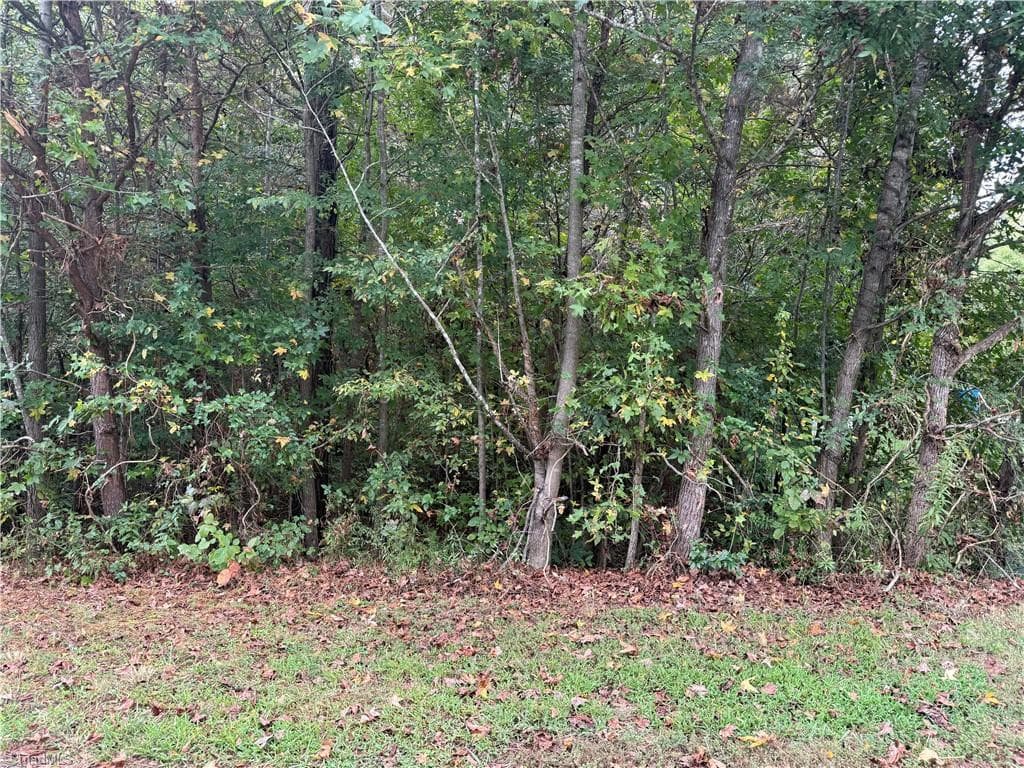 7345 Sun Harbor Drive, Browns Summit NC 27214