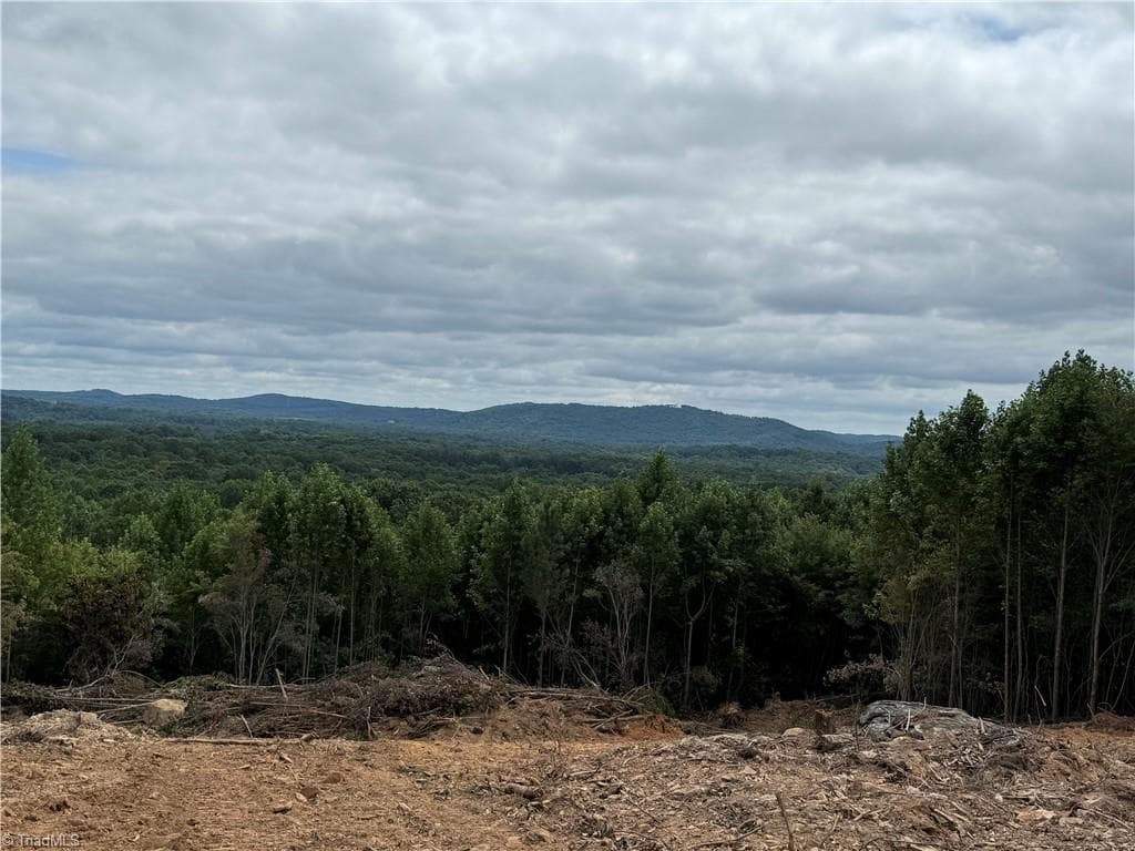 0 Woodfield Drive, Sophia NC 27350