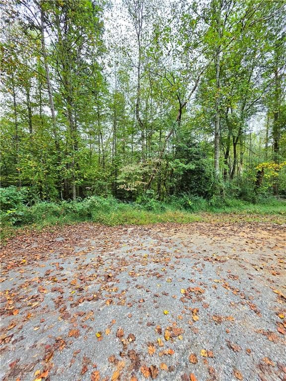 Single Family Residence at Lot 1 Holder Street, Hays NC 28635, photo 6 of 6