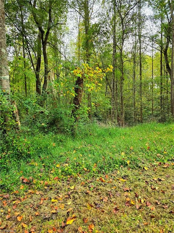 Single Family Residence at Lot 1 Holder Street, Hays NC 28635, photo 5 of 6