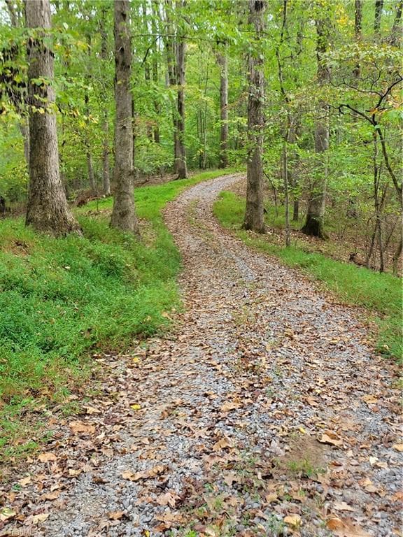 Unimproved Land at 1849 Mission Extension Road, Danbury NC 27016, photo 6 of 22