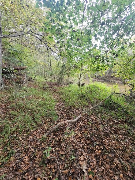 Unimproved Land at 1849 Mission Extension Road, Danbury NC 27016, photo 13 of 22