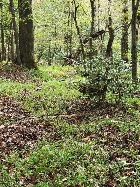 Unimproved Land at 1849 Mission Extension Road, Danbury NC 27016, photo 16 of 22