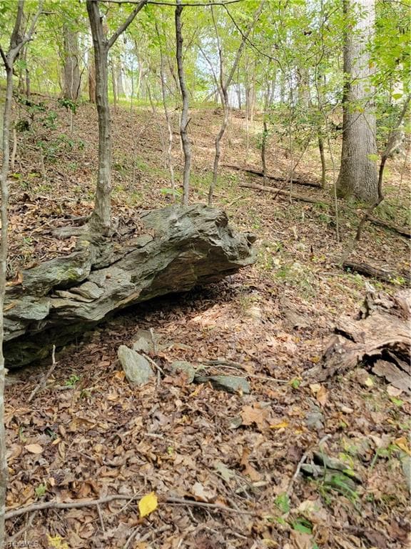 Unimproved Land at 1849 Mission Extension Road, Danbury NC 27016, photo 12 of 22