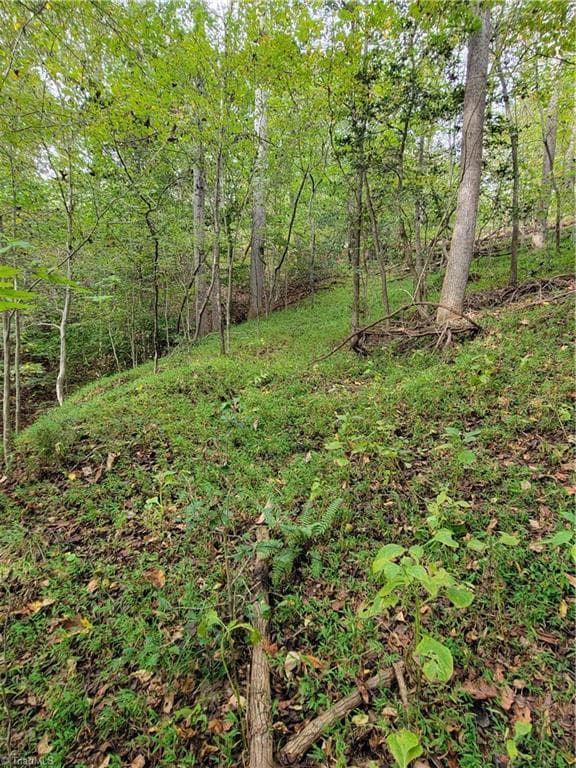 Unimproved Land at 1849 Mission Extension Road, Danbury NC 27016, photo 7 of 22