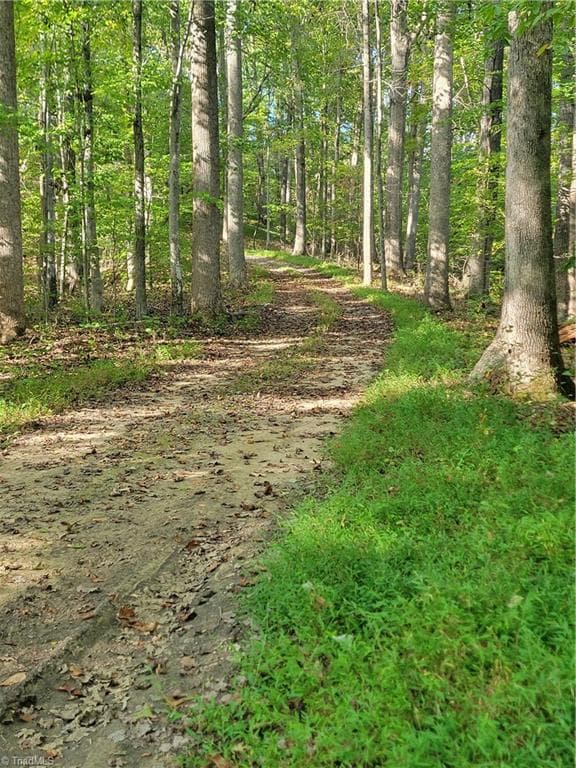 Unimproved Land at 1849 Mission Extension Road, Danbury NC 27016, photo 3 of 22